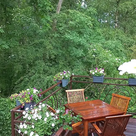 Lägenhet Pod Kasztanami Zarnowska