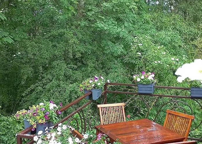 Lägenhet Pod Kasztanami Zarnowska